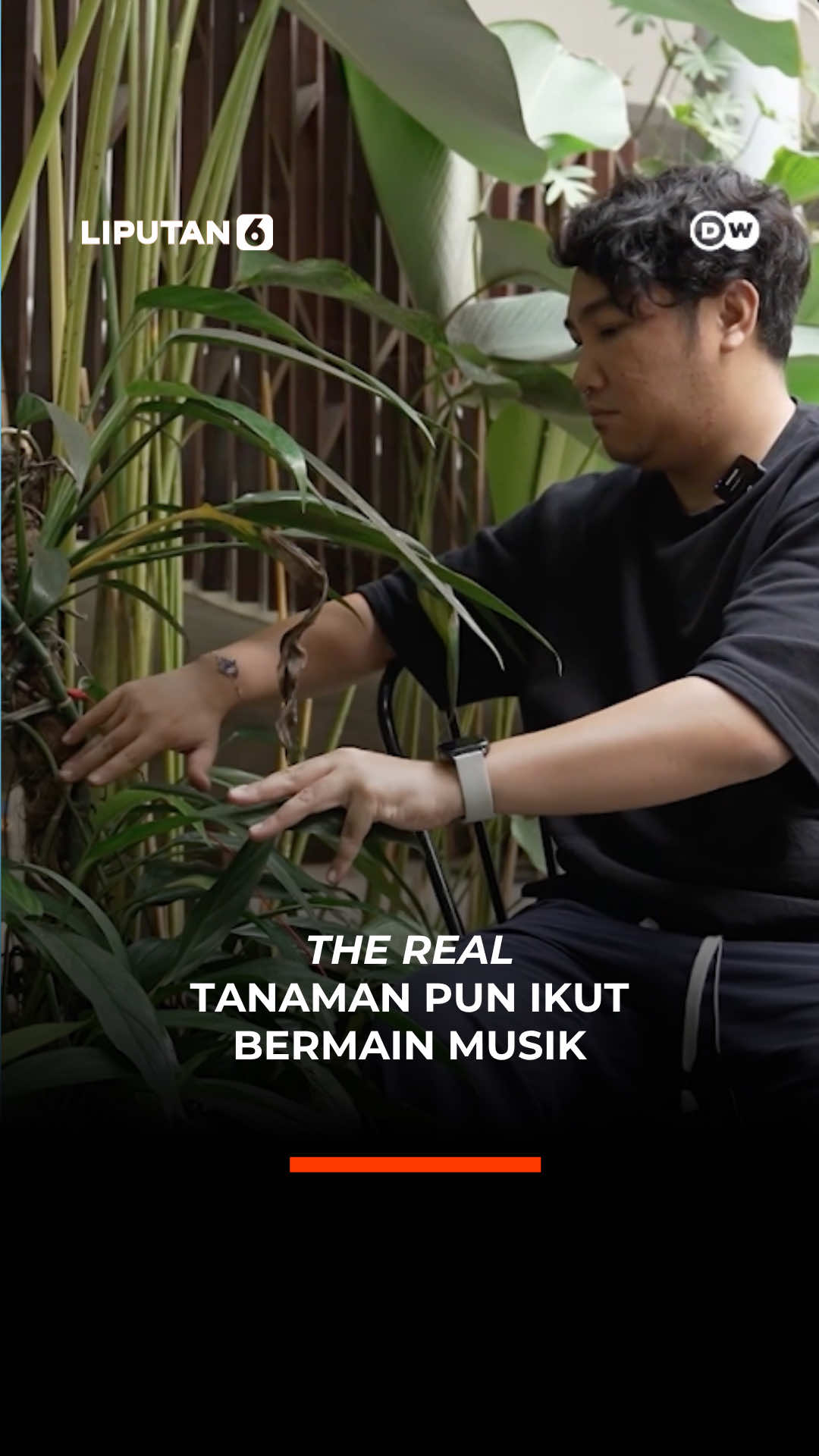 @liputan6.com