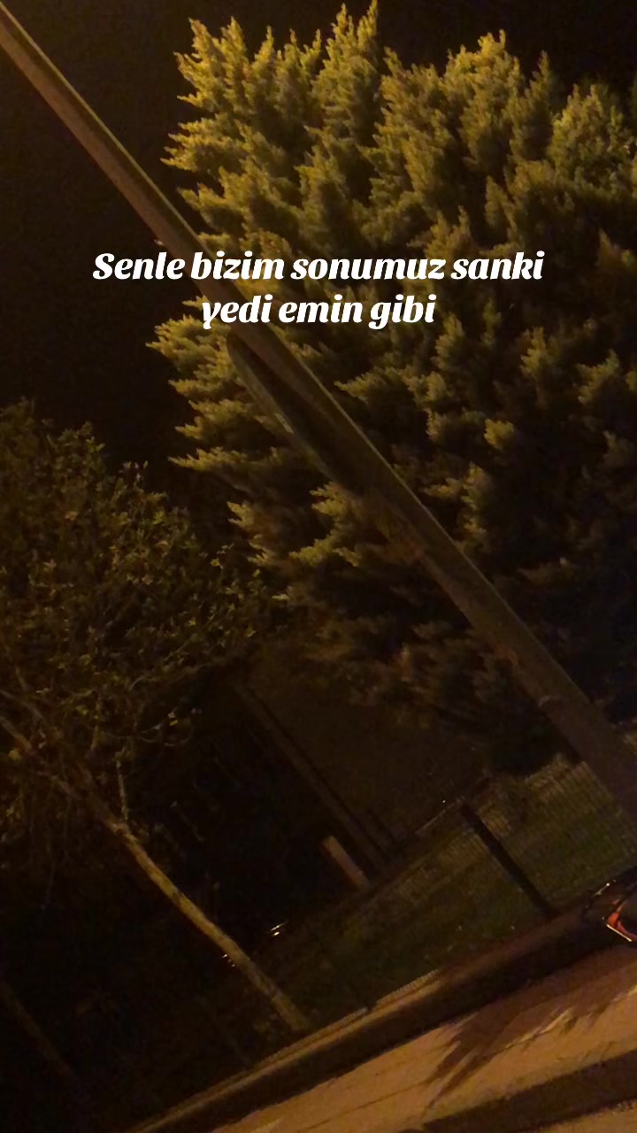 @MEHMET TURHAN✅