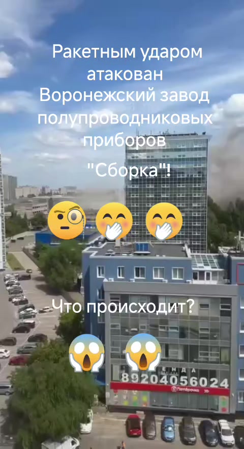 @haliina5