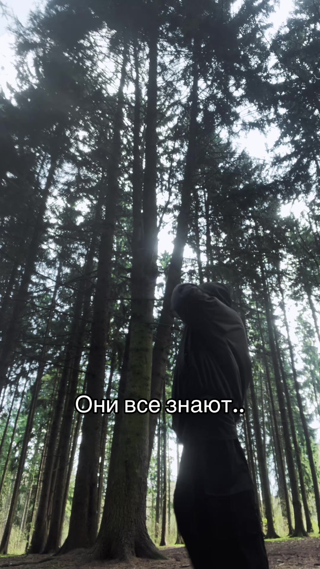 @Диспут закрыт в пользу шопа