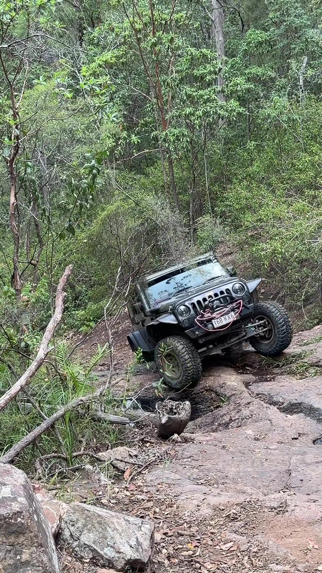 @Bull Ant Offroading