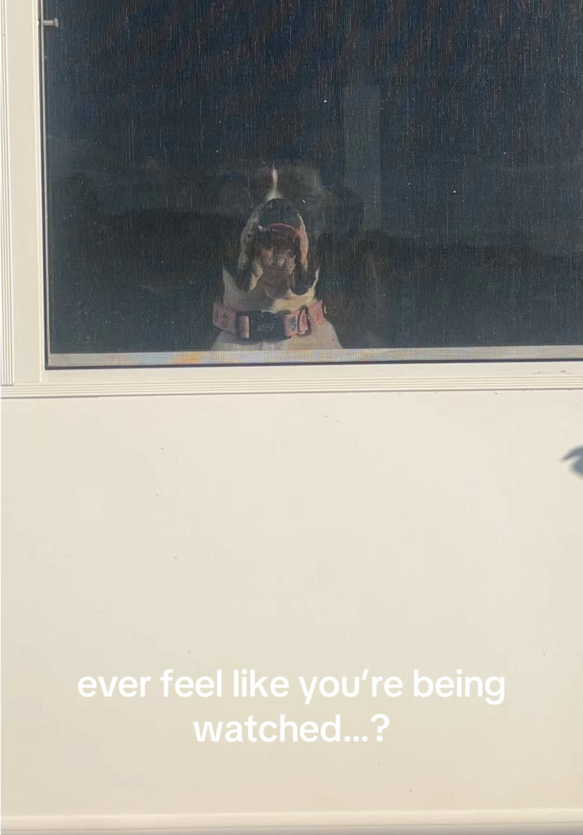 @maddie🌸