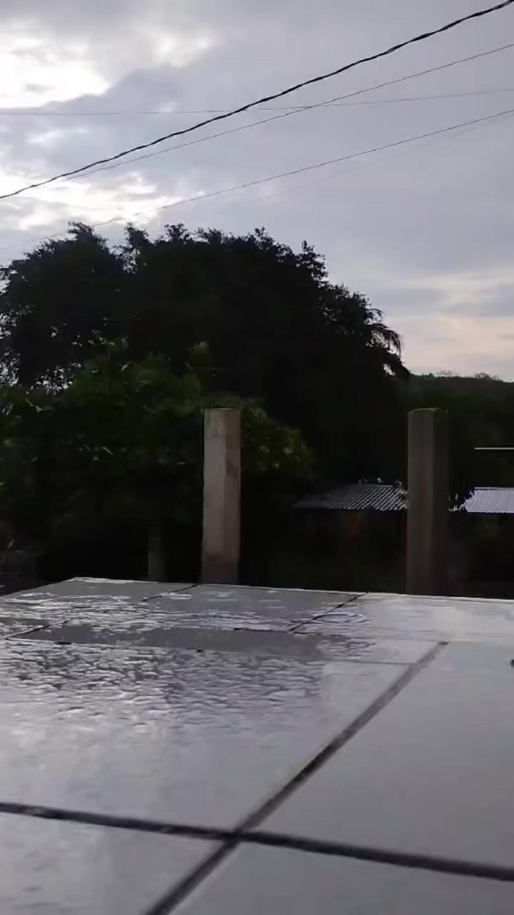 @rosapedraza48
