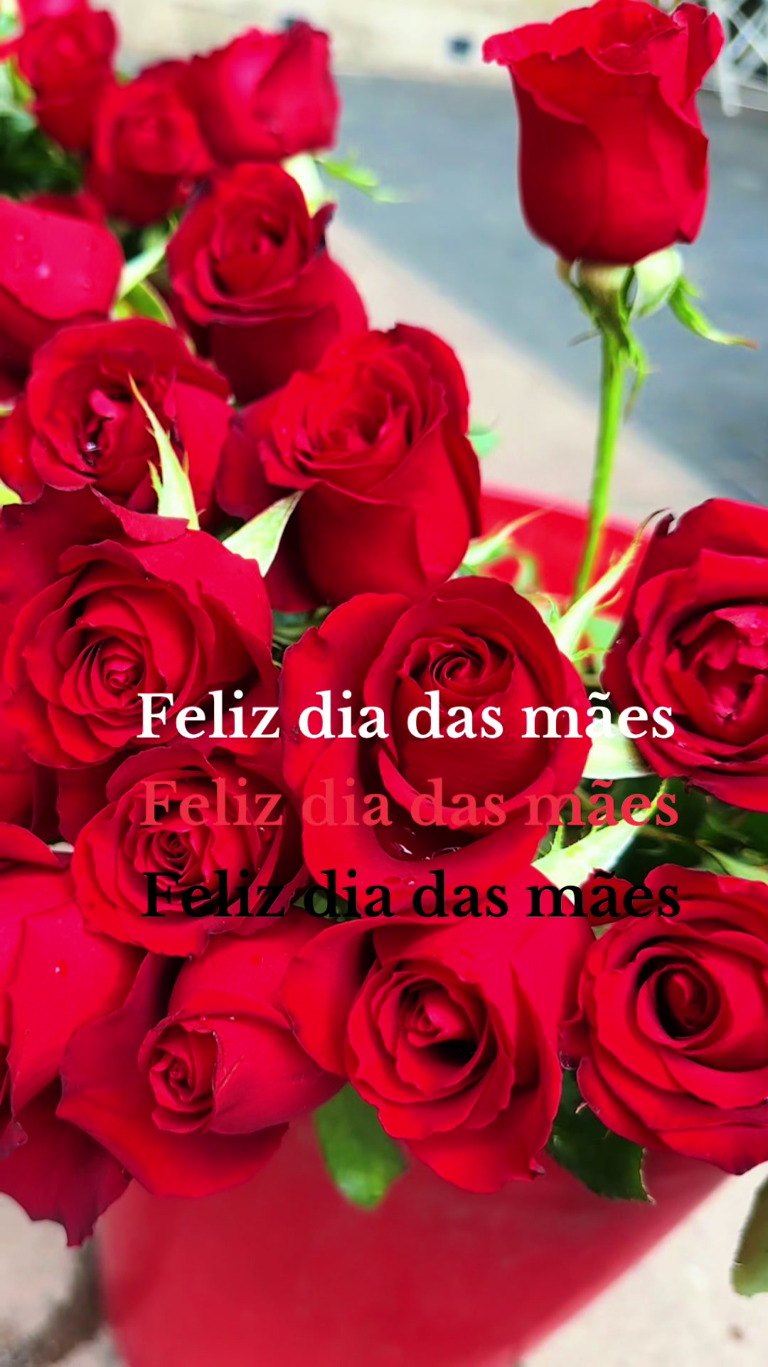 @Nanda Fernandes