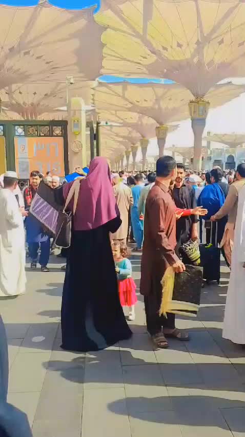 @صبیحہ گل