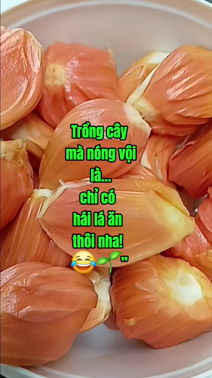@Tạp h&oacute;a Khang Khang