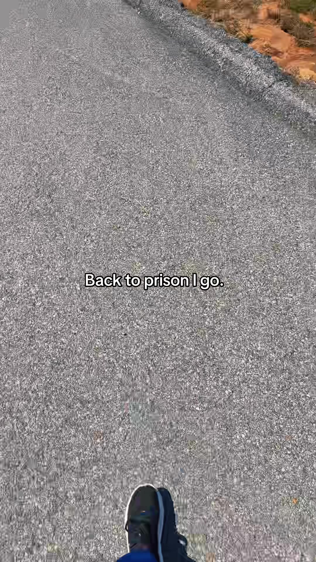 @ʜᴀʏʟᴇʏ ʙʀᴏᴏᴋᴇ 🌵