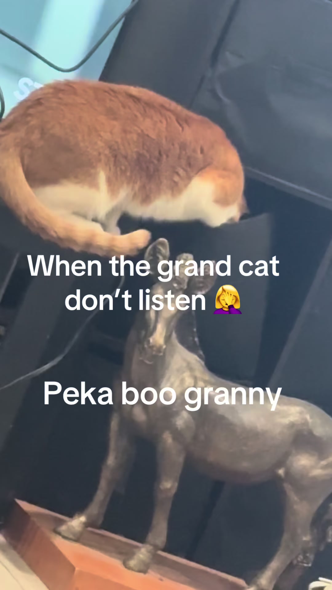 @truckerwifetruckermomma2❌️