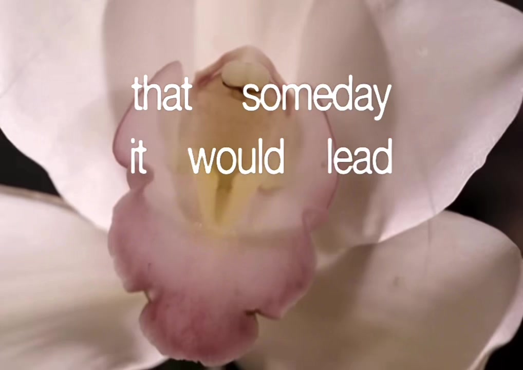 @raptxs