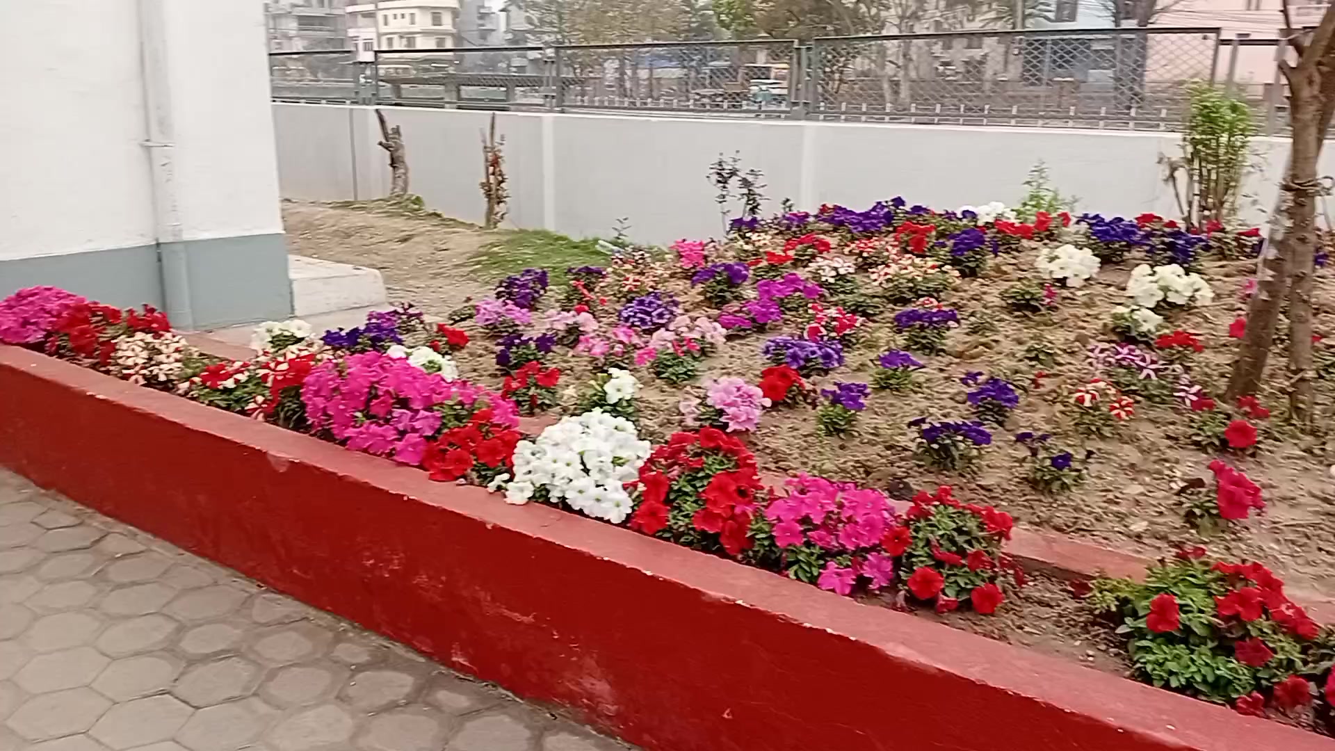 @Birat Baral