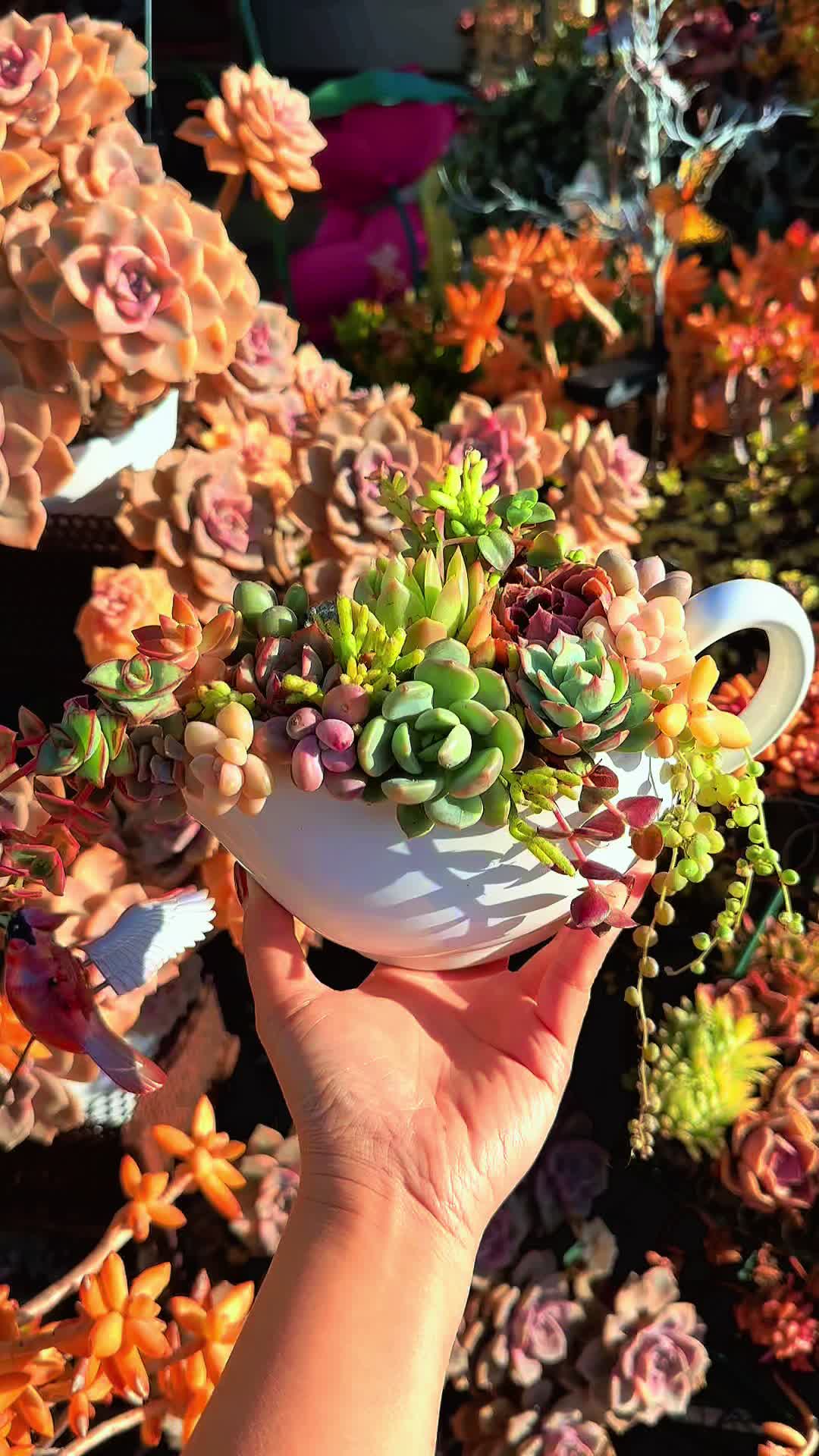 @euphoriablooms