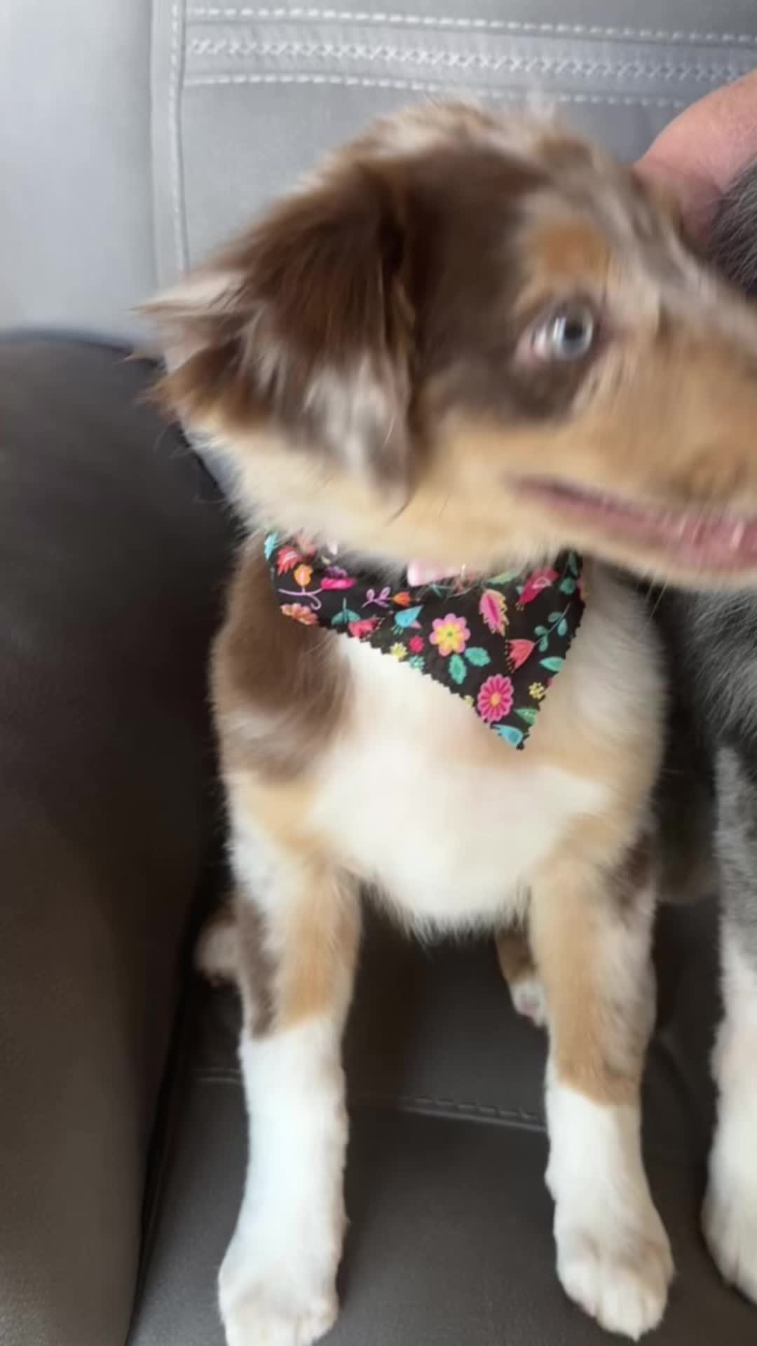 @ððHannahðð