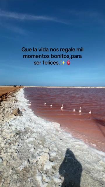 @Milagros_Melen