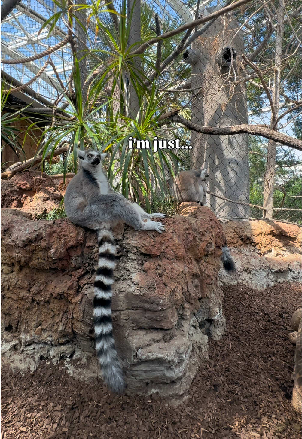 @The Florida Aquarium