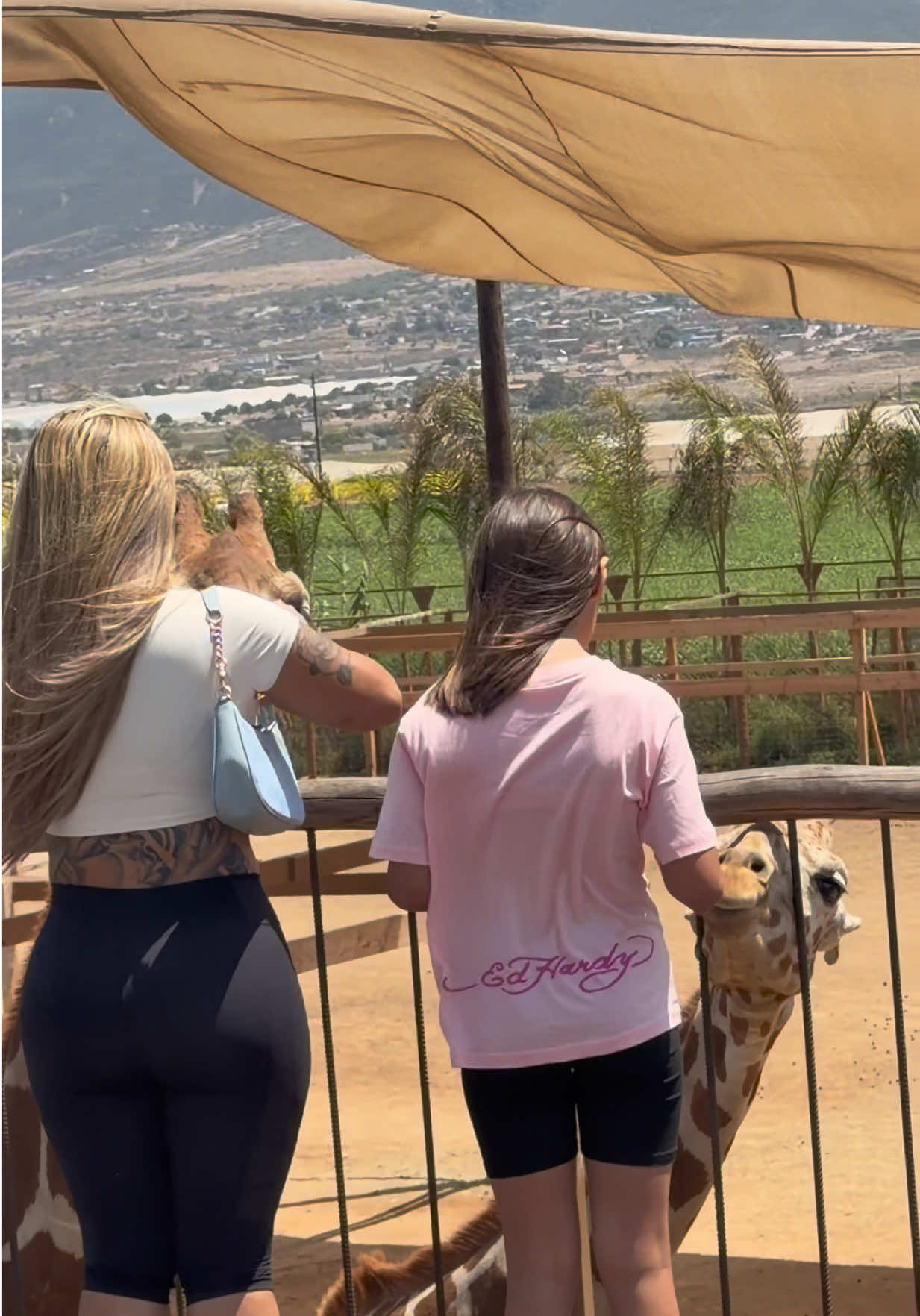 @desii.xoxo