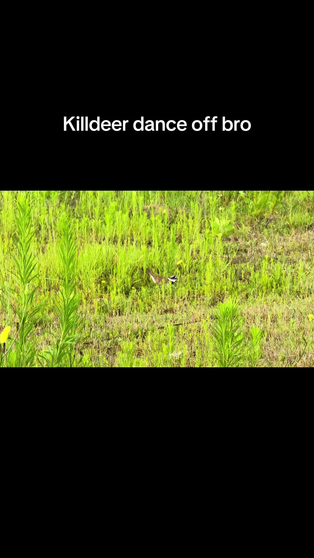 @Kimmy