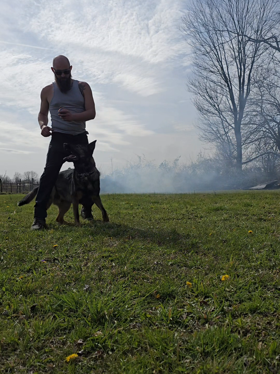 @Monster Made K9 Training💪🏽👹
