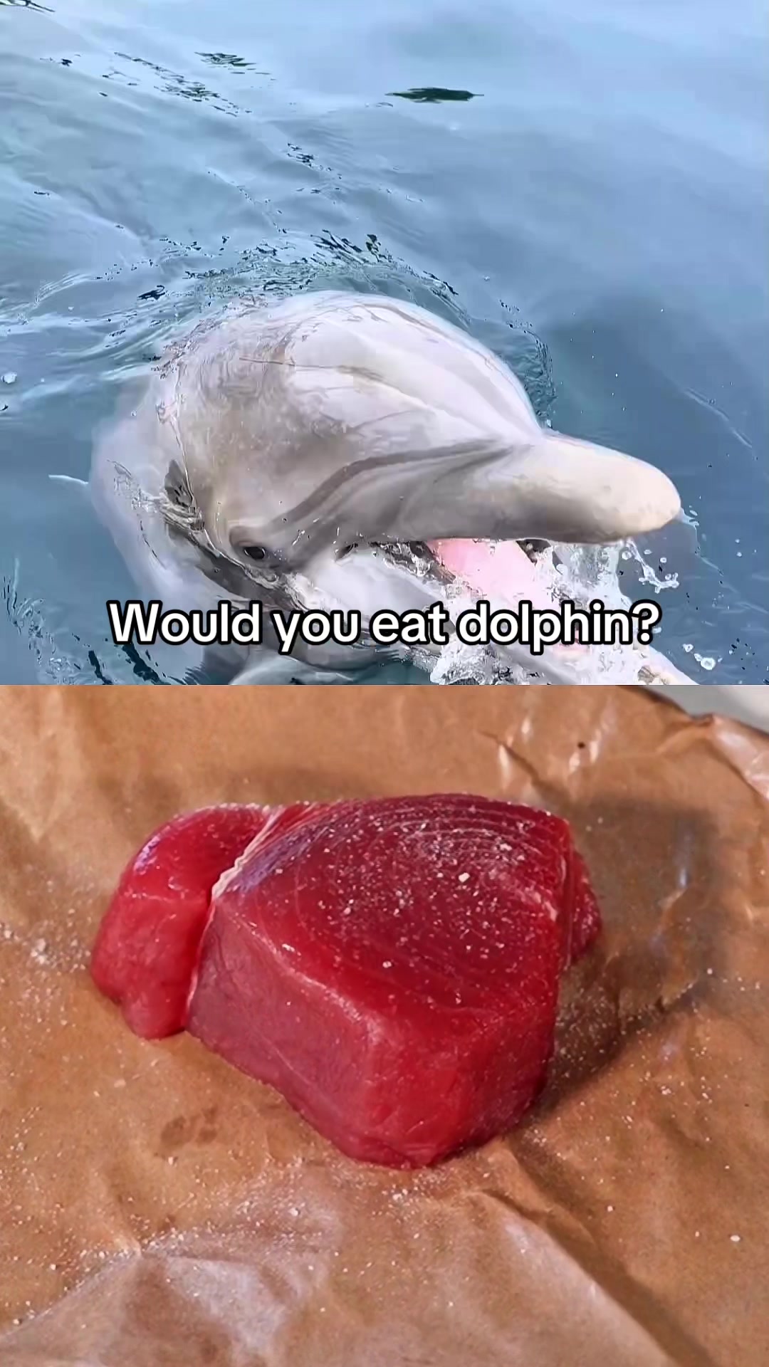 @Meat Sucks