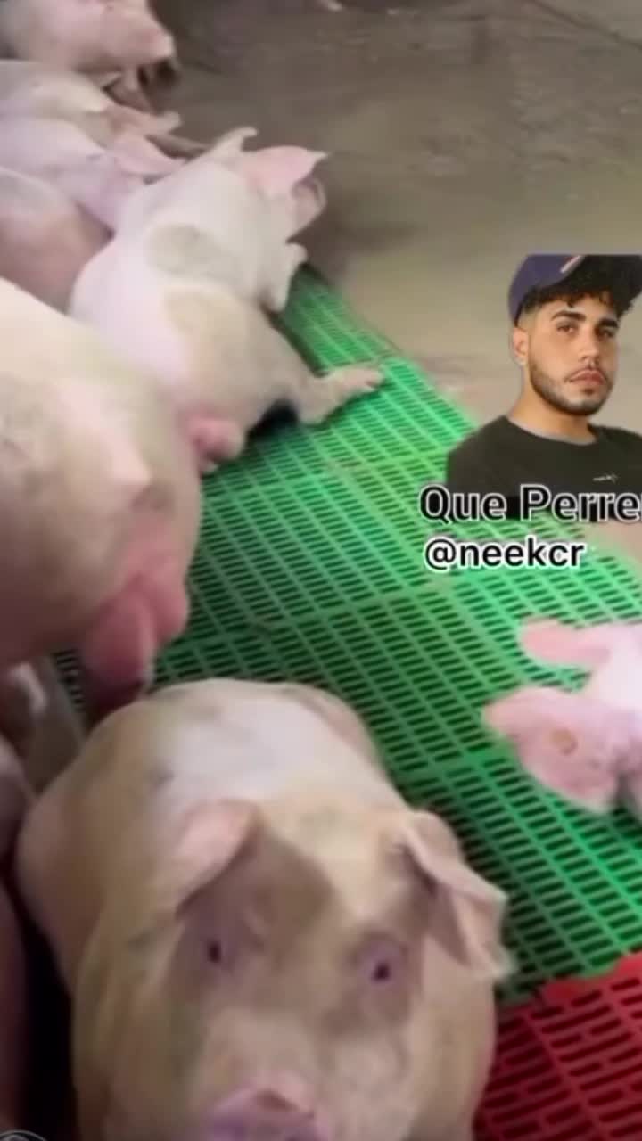 @moreol