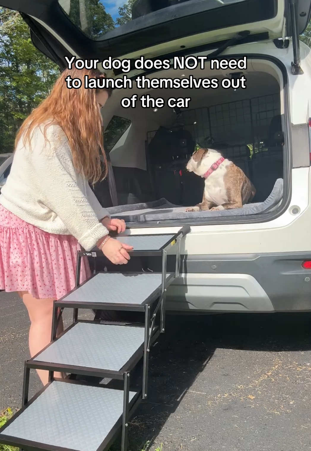 @Chelsea | Dog & Toddler Mom