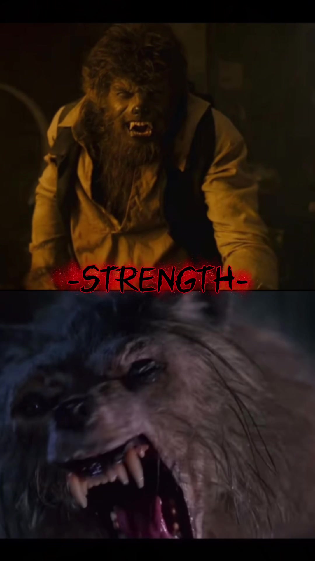 @HORROR INFINITE