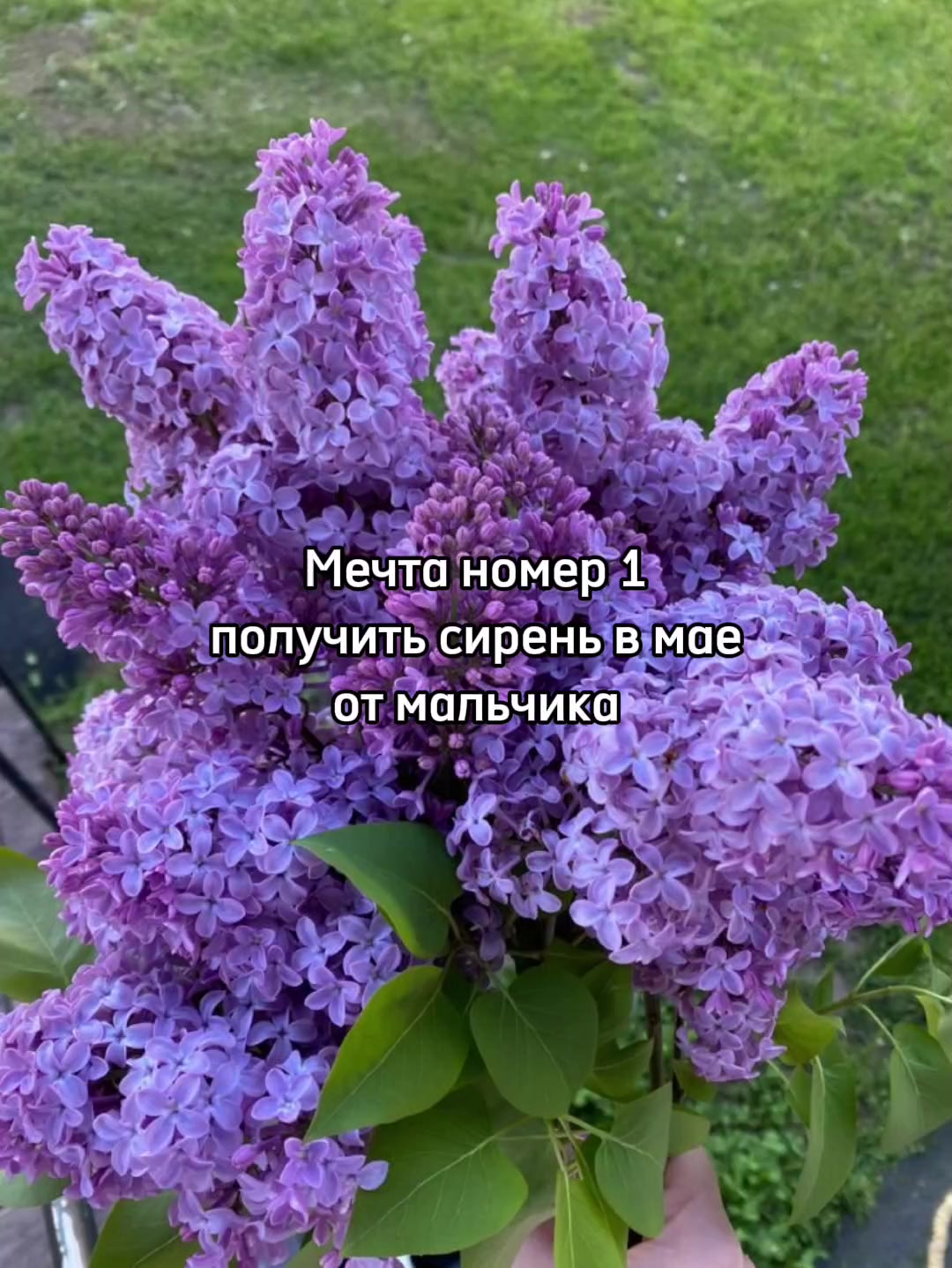 @vix.saaq