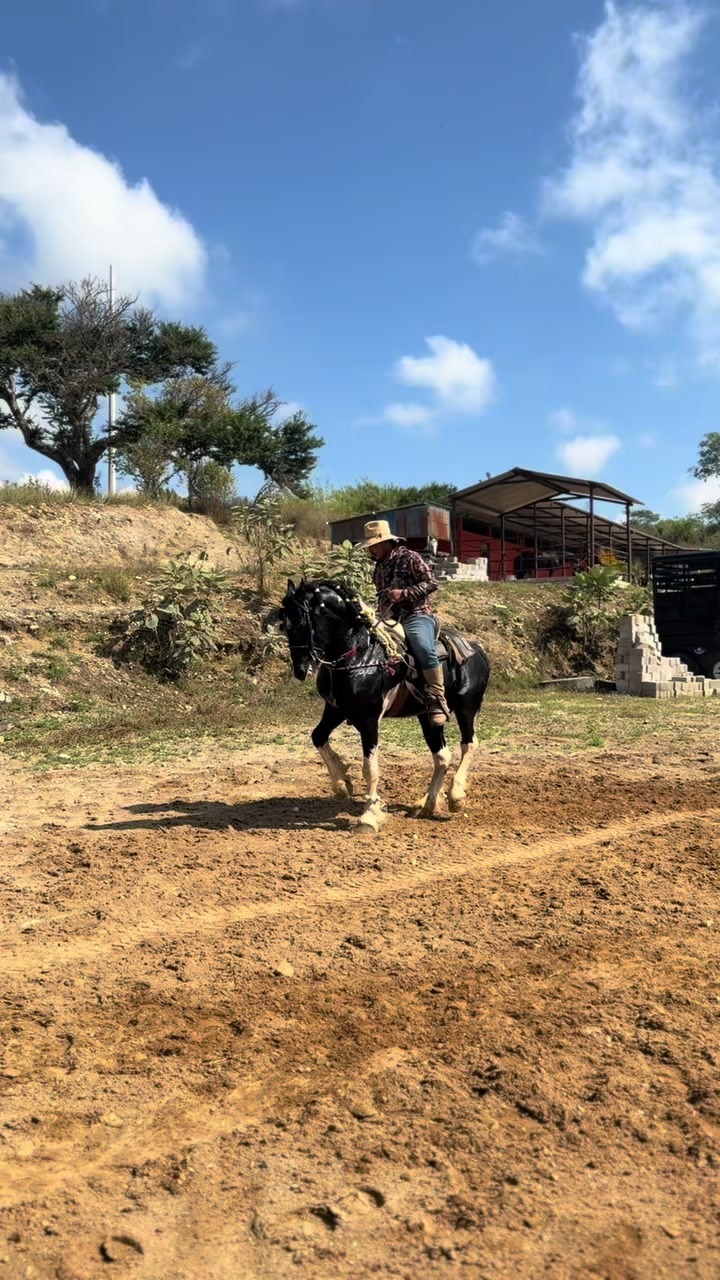 @Jos&eacute; Fonseca