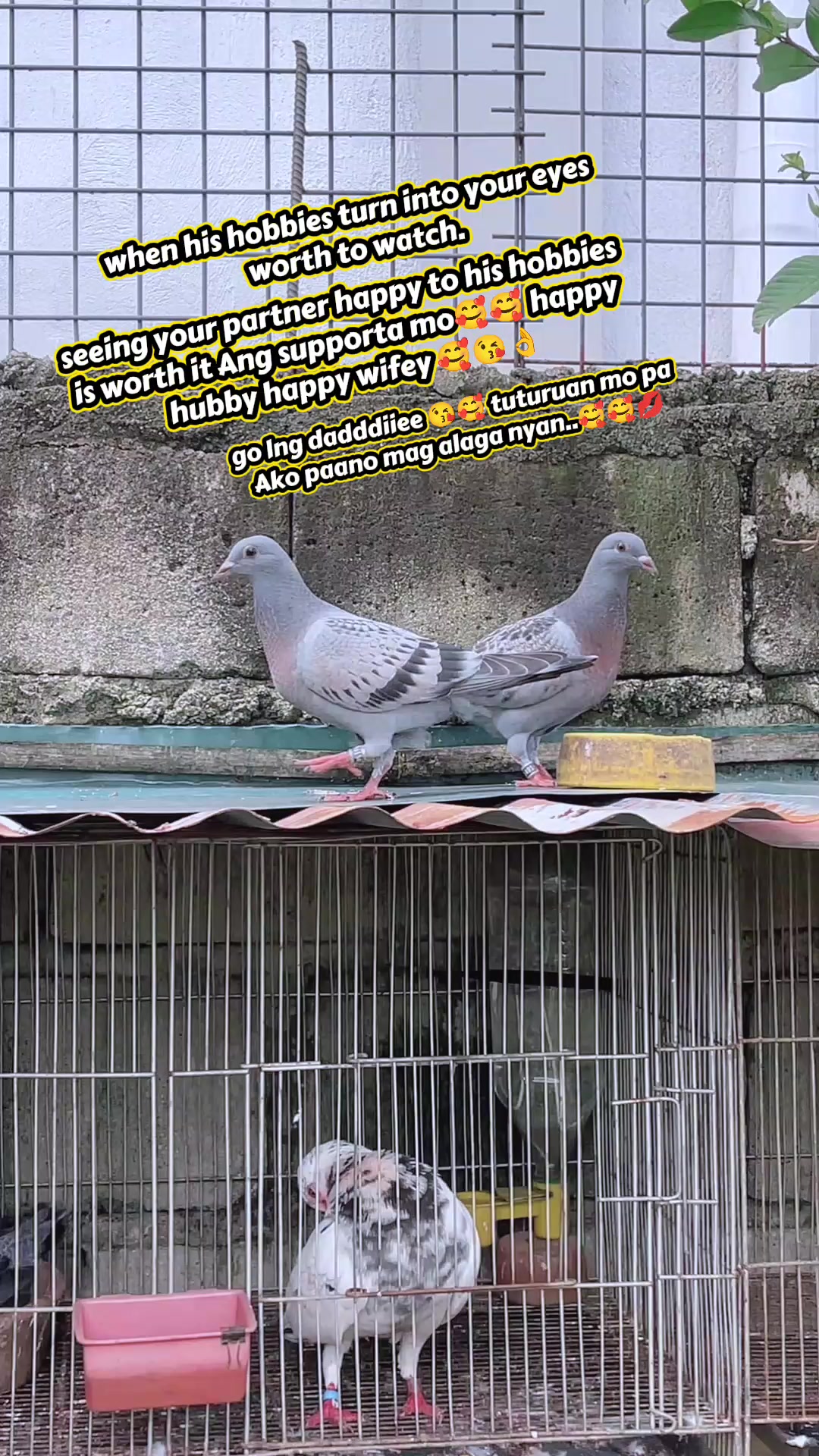 @โฃ๏ธ๐ธ๐๐.๐๐_๐ฎ๐๐๐๐โฃ๏ธ
