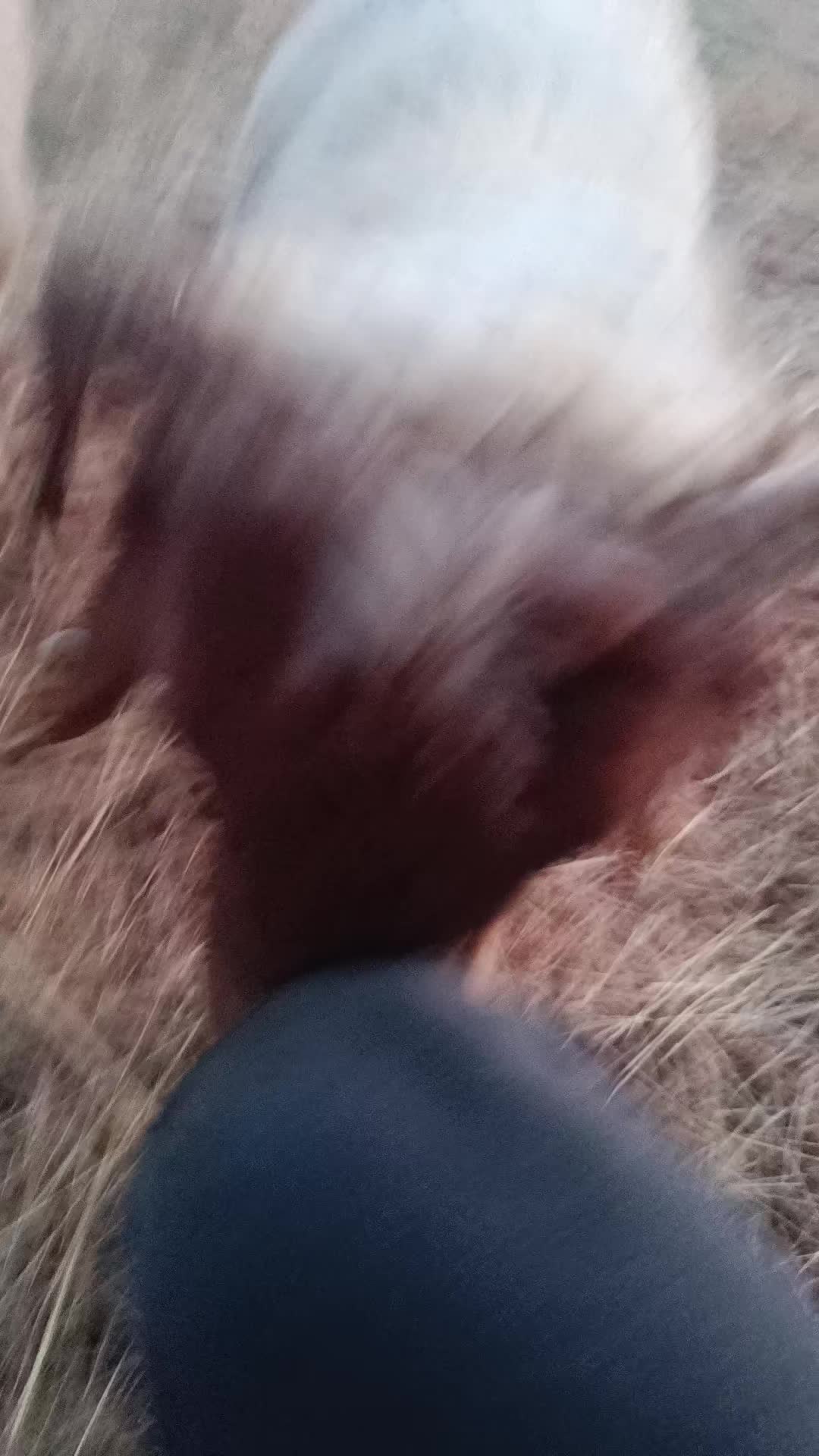 @Alp 🇹🇷🤘🐺27