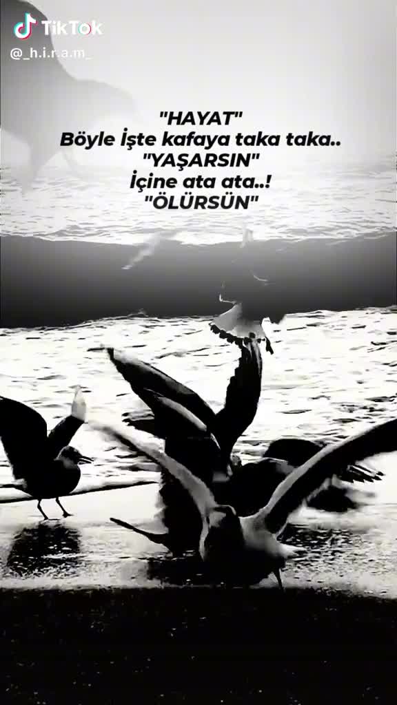 @nejla.0121