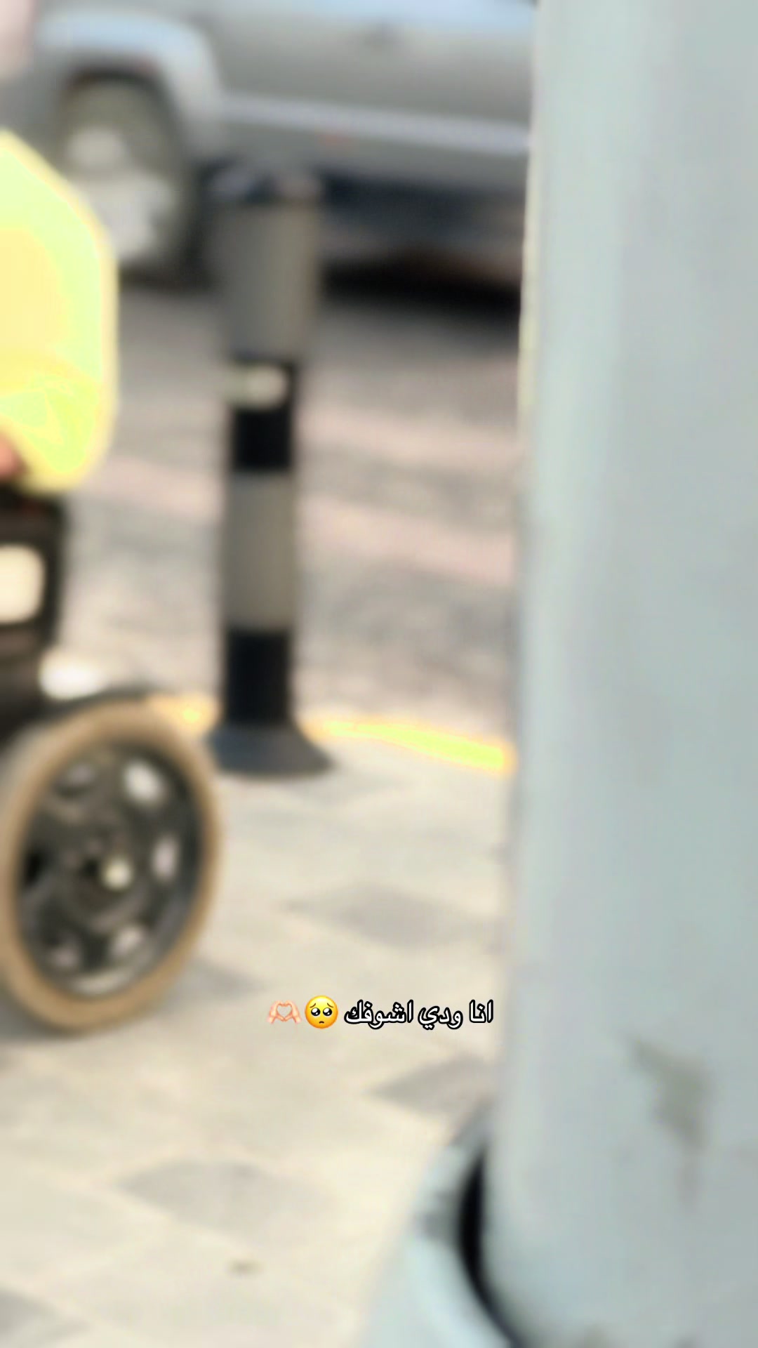 @سجاد الامير 👑 ♿