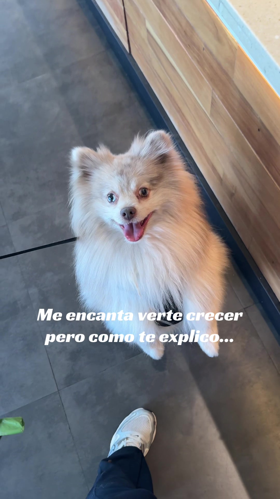 @Tania Dosc | UGC México