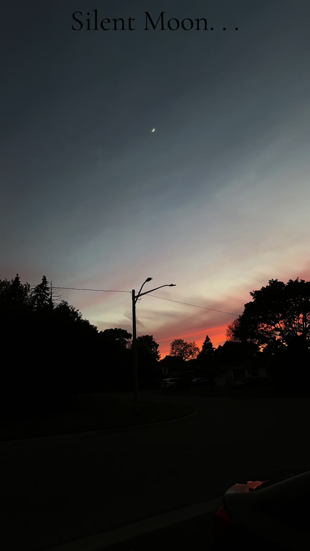 @Silent Moon. . .