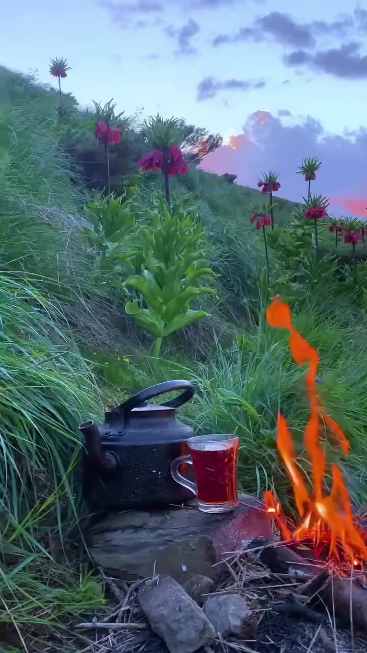 @Doğan 3851🪬🪽🪽♻️🇹🇷🐺🔥