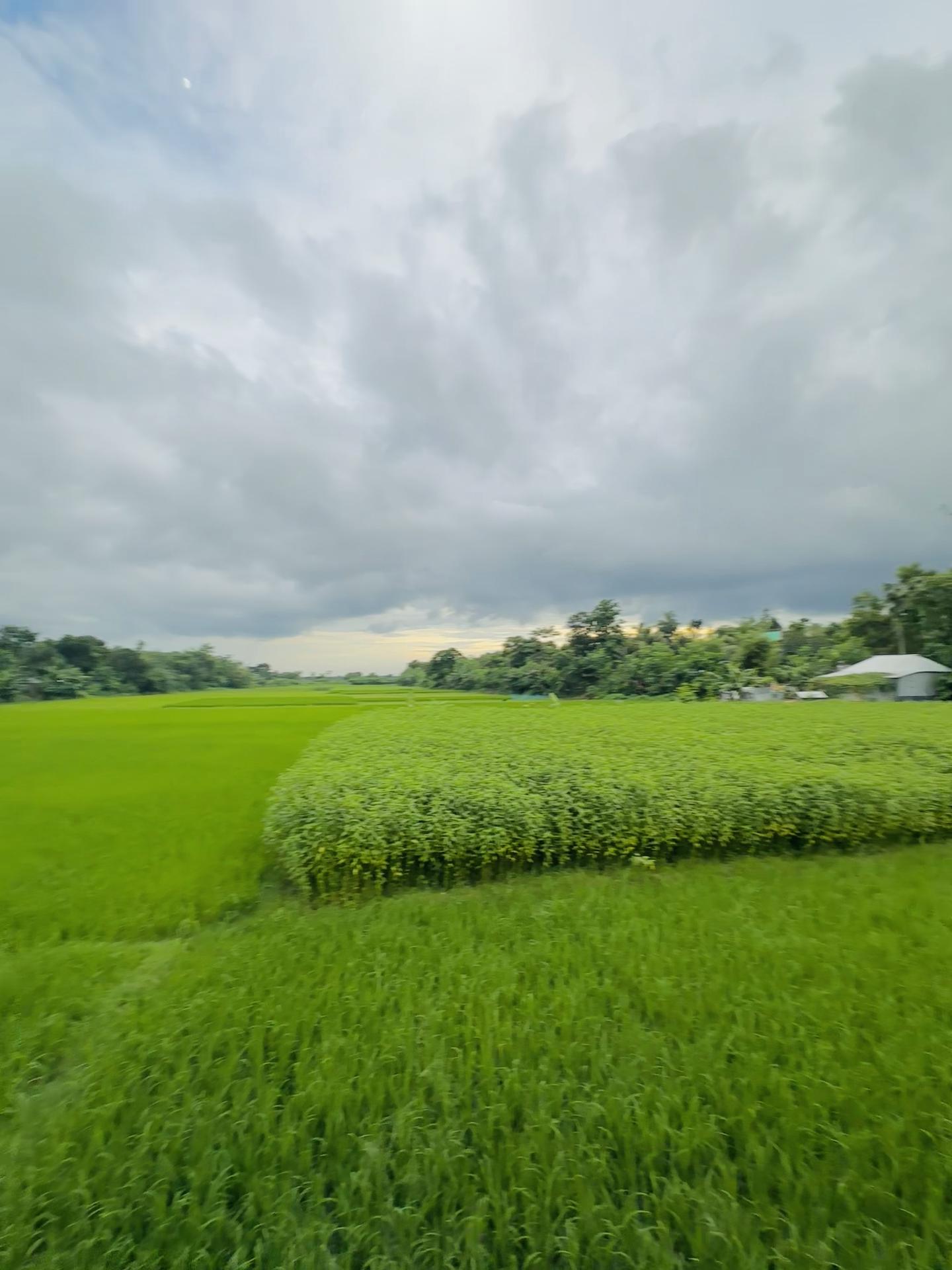 @উল্লাস:)🕊️⚰️