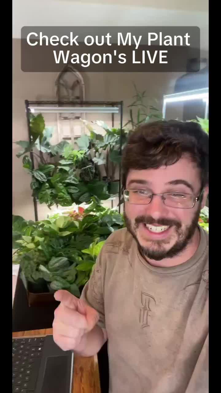 @JT Plants 🪴