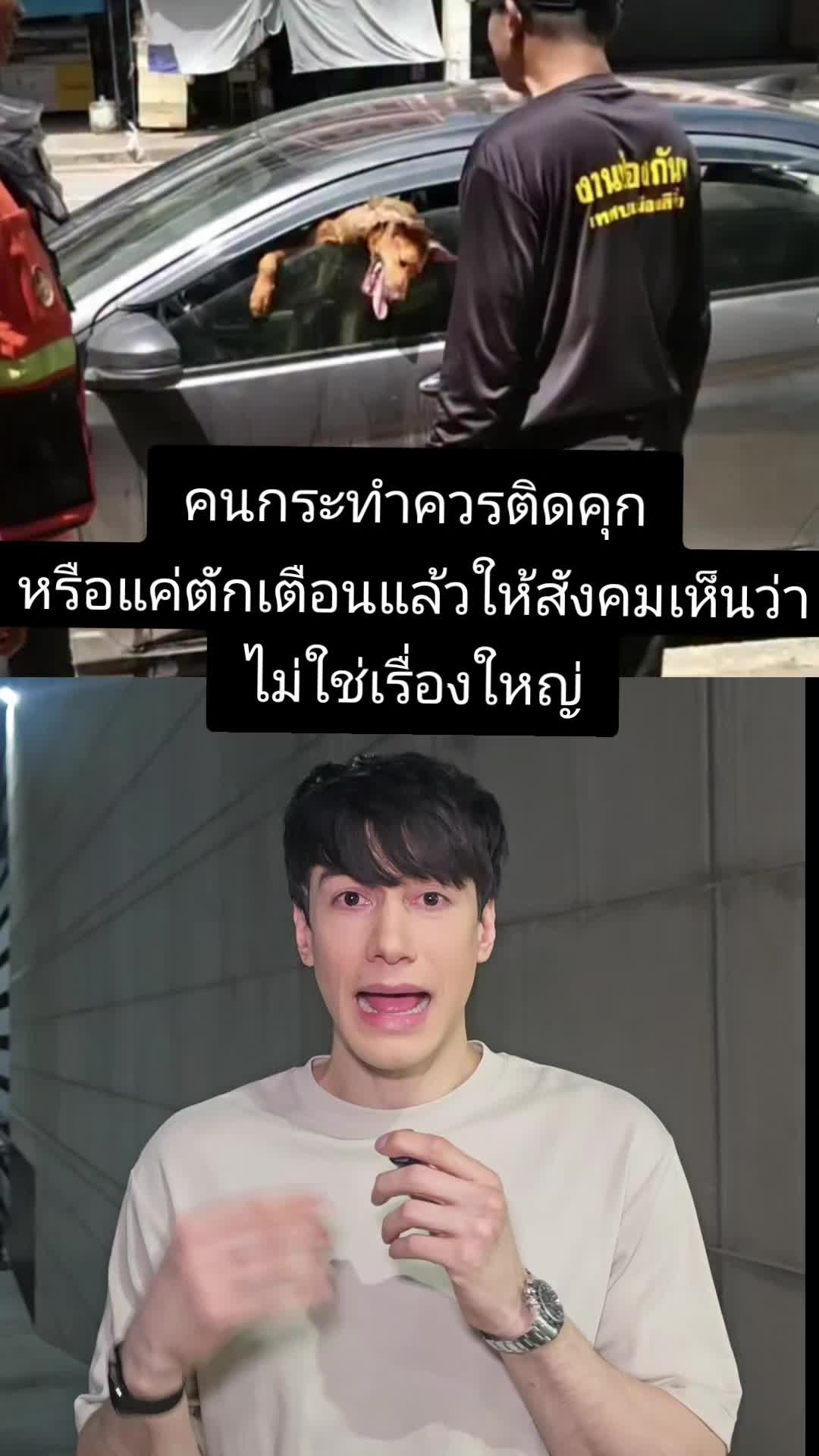 @Peter Denman (ปีเตอร์ เดนแมน)