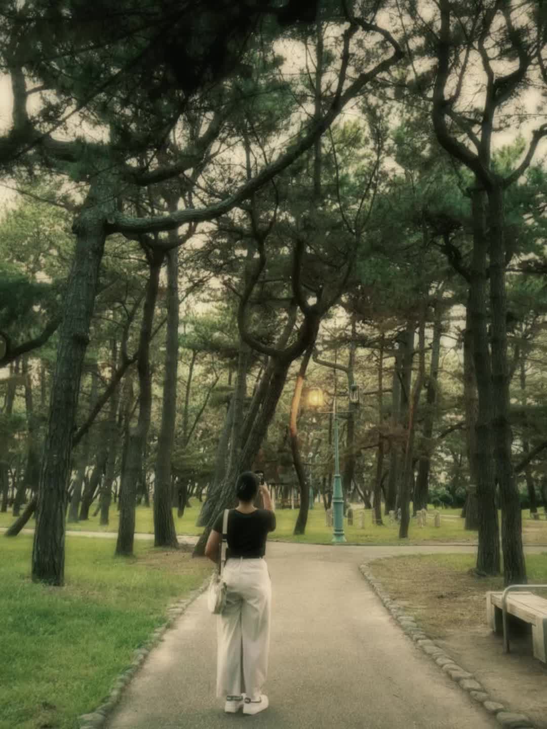 @to_rii