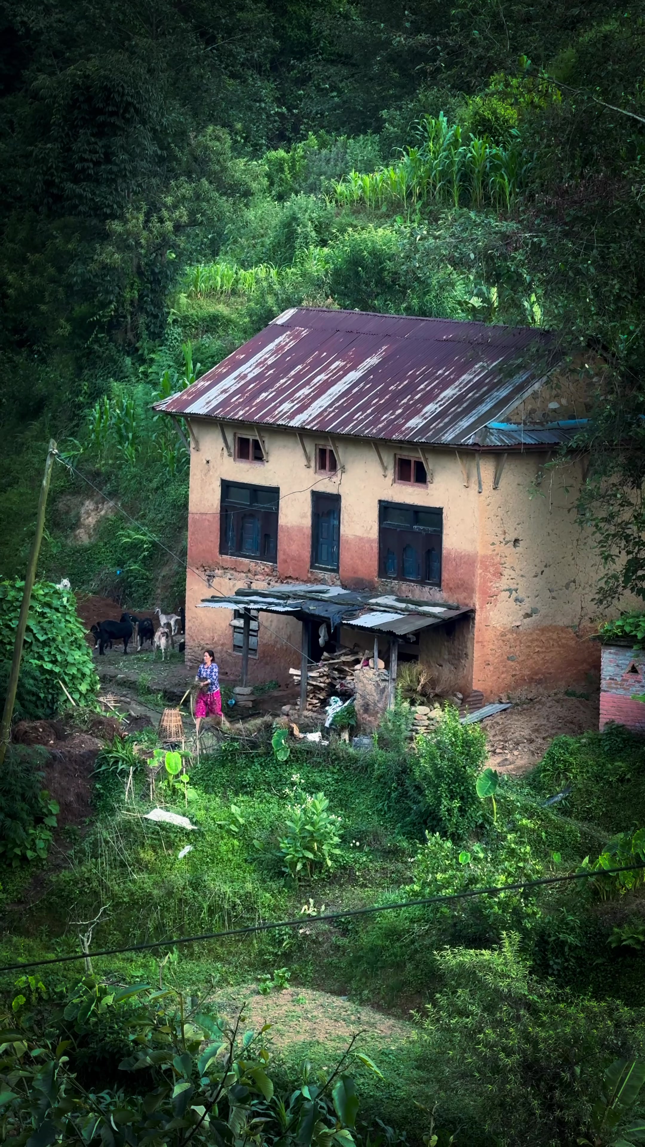 @Sudarshan Neupane