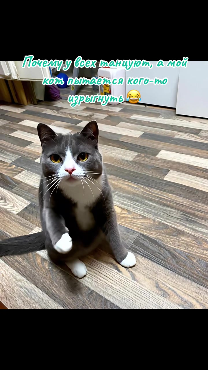 @Elena Charntseva