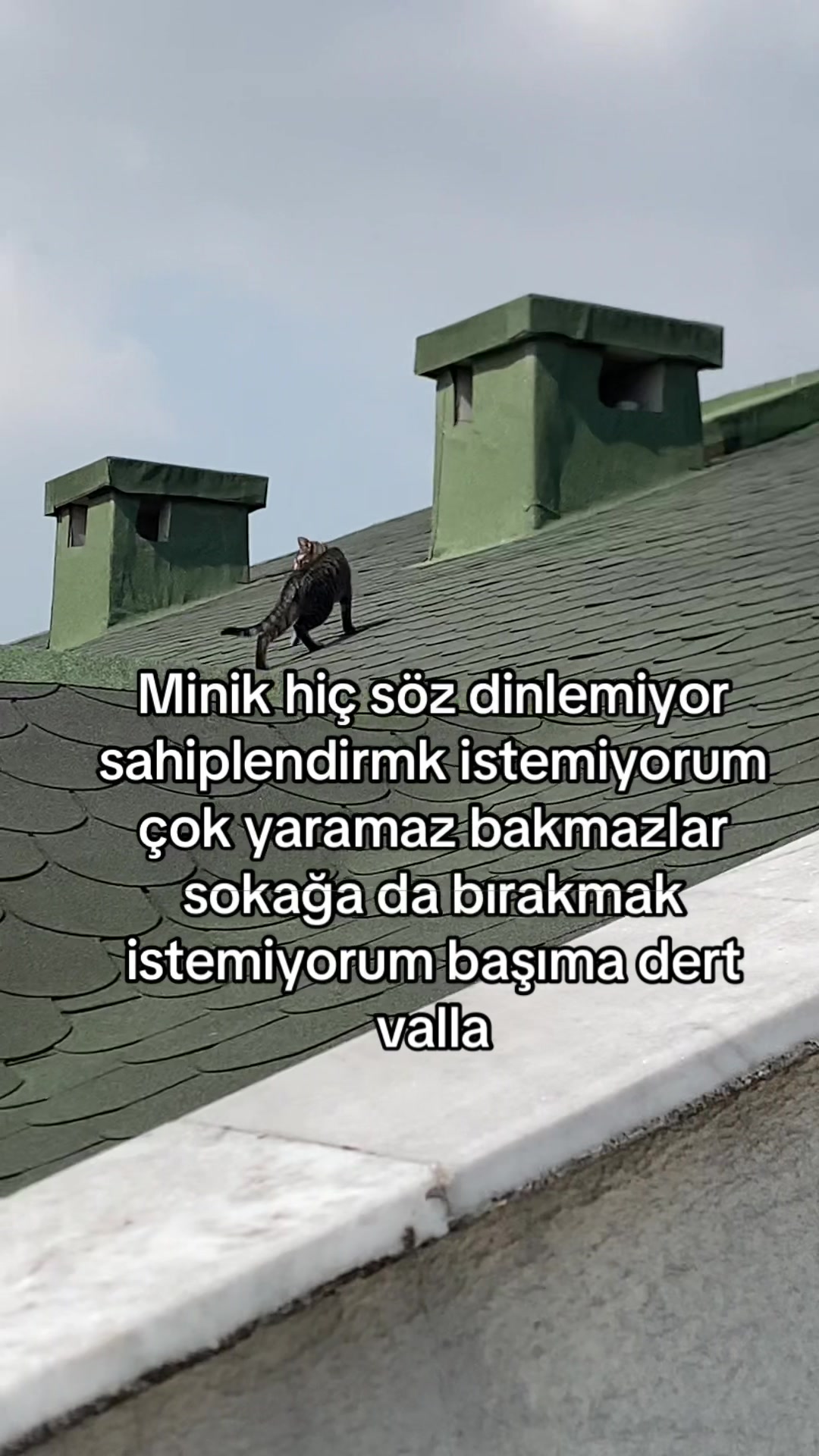 @yudummz_