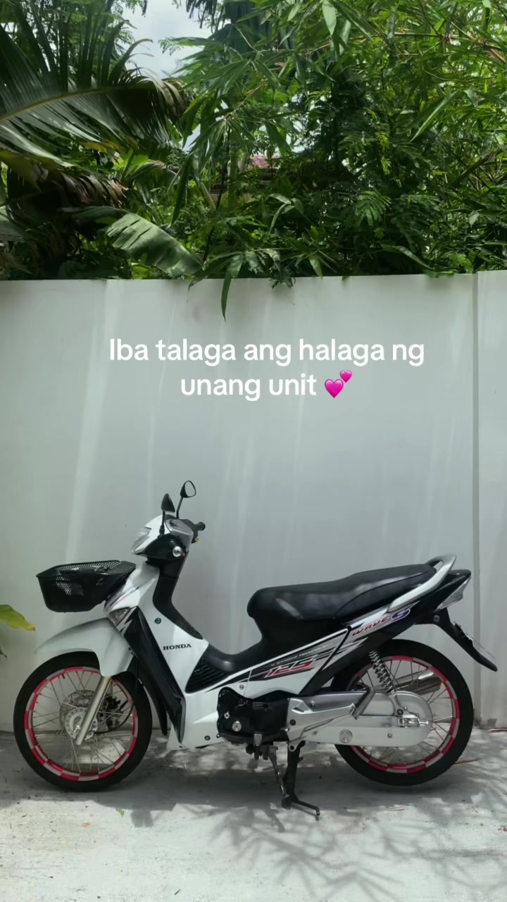 @PANDA 🐼 🌊