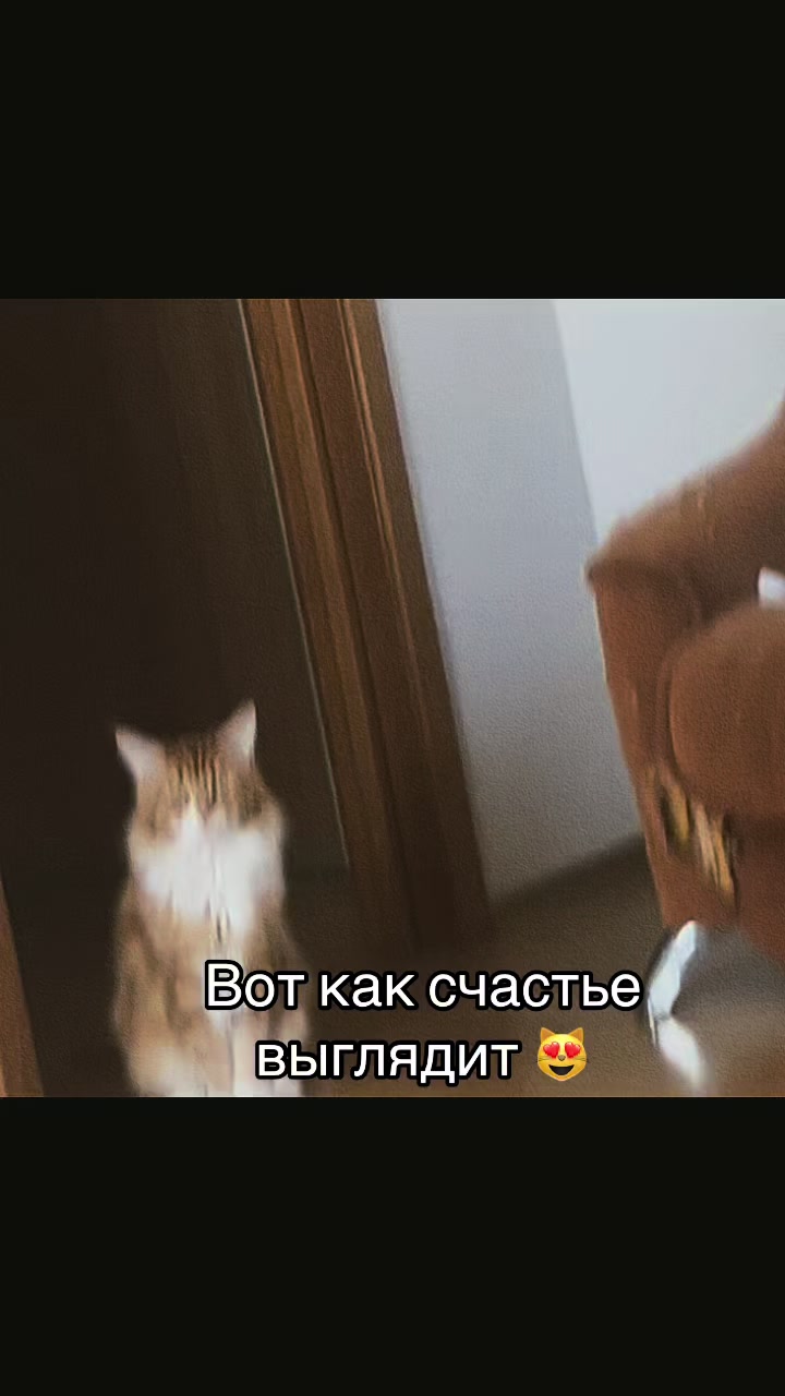 @Просто Даня