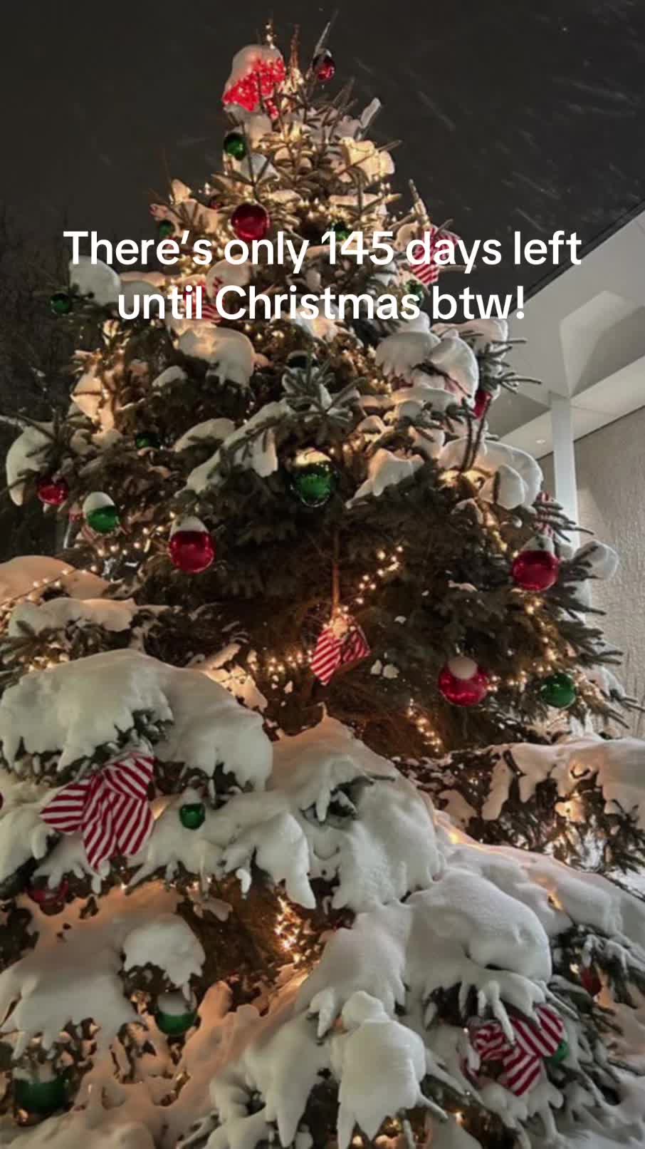 @christmas vibes!