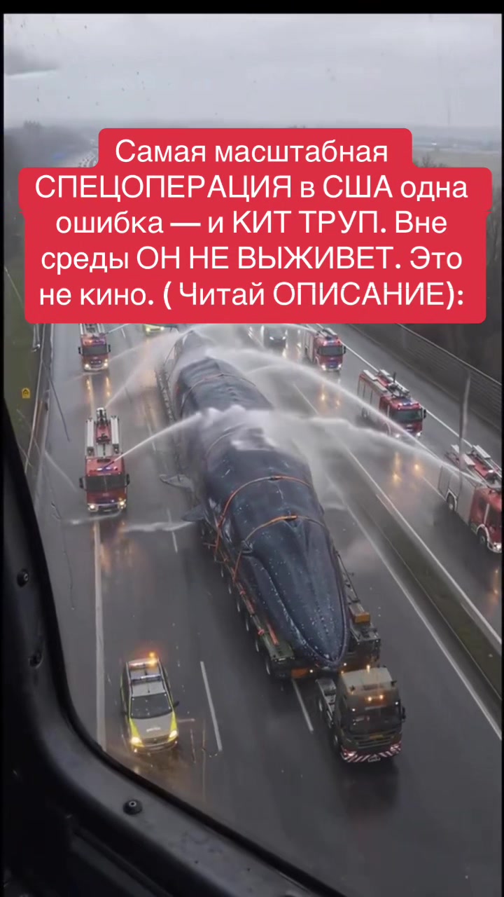 @shoblinskis