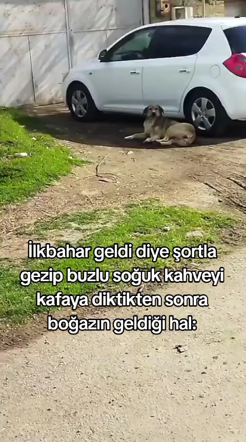 @İsmail