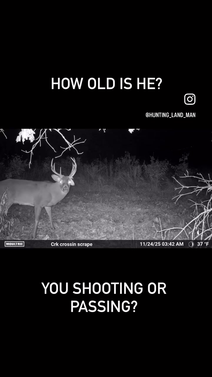 @Huntinglandman