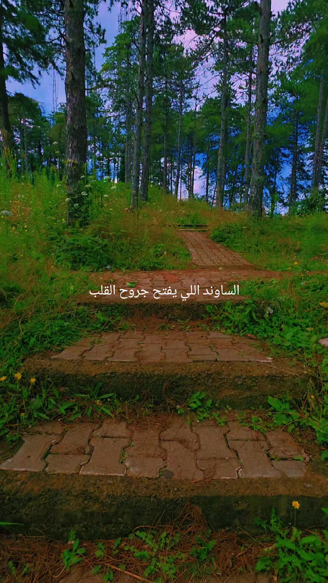 @MAI-AH
