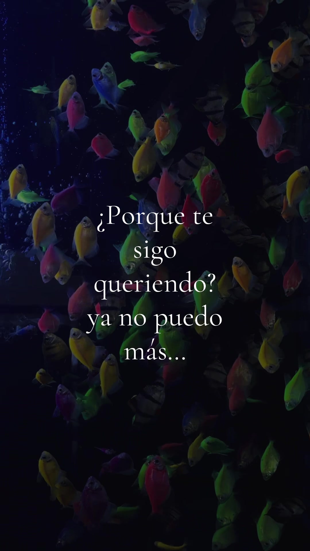@𝐍💗 ✮⋆˙