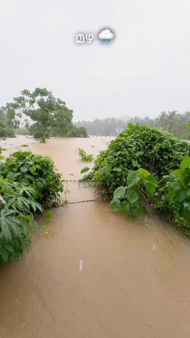 @👑തൊപ്പിക്കാരൻ👑